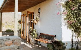 Wild Olive Cottage